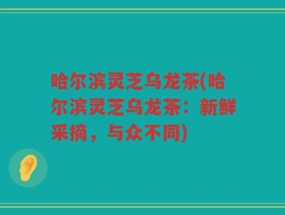 哈尔滨灵芝乌龙茶(哈尔滨灵芝乌龙茶：新鲜采摘，与众不同)