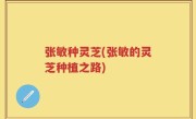 张敏种灵芝(张敏的灵芝种植之路)
