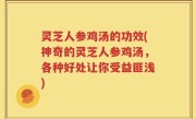 灵芝人参鸡汤的功效(神奇的灵芝人参鸡汤，各种好处让你受益匪浅)