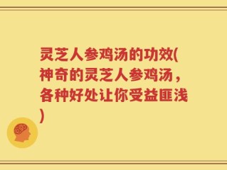 灵芝人参鸡汤的功效(神奇的灵芝人参鸡汤，各种好处让你受益匪浅)