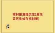 棺材里发现灵芝(发现灵芝生长在棺材里)