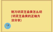 铡刀切灵芝桑黄怎么切(切灵芝桑黄的正确方法分享)