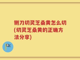 铡刀切灵芝桑黄怎么切(切灵芝桑黄的正确方法分享)