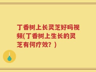 丁香树上长灵芝好吗视频(丁香树上生长的灵芝有何疗效？)