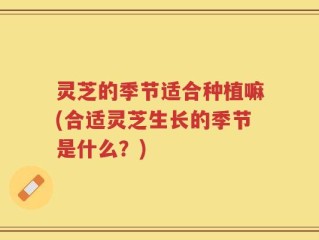 灵芝的季节适合种植嘛(合适灵芝生长的季节是什么？)