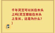 千年灵芝可以长在木头上吗(灵芝要能在木头上生长，这是为什么？)