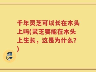 千年灵芝可以长在木头上吗(灵芝要能在木头上生长，这是为什么？)