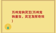 万州龙驹灵芝(万州龙驹重生，灵芝发挥奇效)