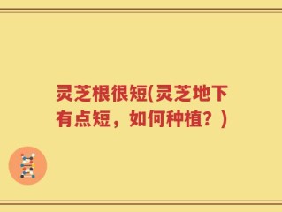 灵芝根很短(灵芝地下有点短，如何种植？)