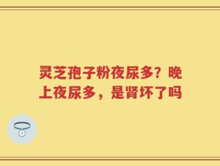灵芝孢子粉夜尿多？晚上夜尿多，是肾坏了吗