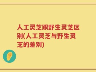 人工灵芝跟野生灵芝区别(人工灵芝与野生灵芝的差别)