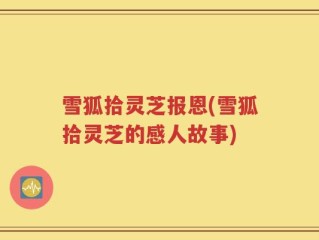 雪狐拾灵芝报恩(雪狐拾灵芝的感人故事)