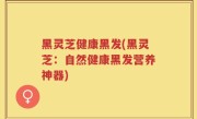 黑灵芝健康黑发(黑灵芝：自然健康黑发营养神器)
