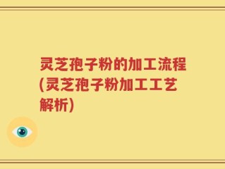灵芝孢子粉的加工流程(灵芝孢子粉加工工艺解析)