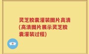 灵芝胶囊灌装图片高清(高清图片展示灵芝胶囊灌装过程)