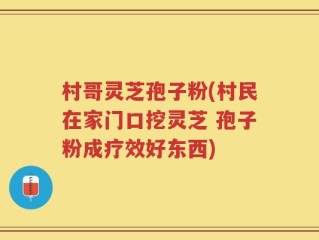 村哥灵芝孢子粉(村民在家门口挖灵芝 孢子粉成疗效好东西)