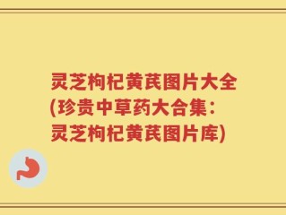 灵芝枸杞黄芪图片大全(珍贵中草药大合集：灵芝枸杞黄芪图片库)