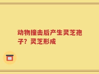 动物撞击后产生灵芝孢子？灵芝形成