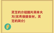 灵芝的介绍图片简单大方(优秀保健食材，灵芝的简介)