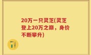 20万一只灵芝(灵芝登上20万之巅，身价不断攀升)