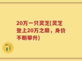 20万一只灵芝(灵芝登上20万之巅，身价不断攀升)