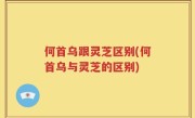 何首乌跟灵芝区别(何首乌与灵芝的区别)