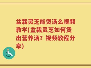 盆栽灵芝能煲汤么视频教学(盆栽灵芝如何煲出营养汤？视频教程分享)