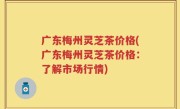 广东梅州灵芝茶价格(广东梅州灵芝茶价格：了解市场行情)