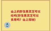 山上的野生黑灵芝可以吃吗(野生黑灵芝可以食用吗？山上探秘)