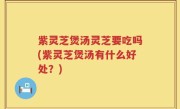 紫灵芝煲汤灵芝要吃吗(紫灵芝煲汤有什么好处？)
