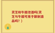 灵芝和牛膝泡酒吗(灵芝与牛膝可用于酿制酒品吗？)