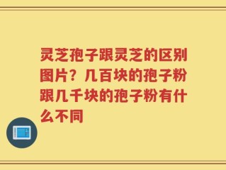 灵芝孢子跟灵芝的区别图片？几百块的孢子粉跟几千块的孢子粉有什么不同