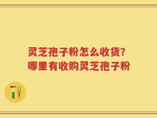 灵芝孢子粉怎么收货？哪里有收购灵芝孢子粉