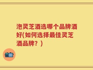 泡灵芝酒选哪个品牌酒好(如何选择最佳灵芝酒品牌？)