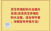 灵芝养殖配料大全图片高清(高清灵芝养殖配料大全图，适合初学者，详细指导养殖方法)