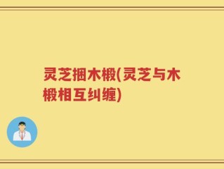 灵芝捆木椴(灵芝与木椴相互纠缠)