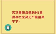 灵芝墨脱县墨脱村(墨脱县村庄灵芝产量居高不下)