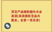 灵芝产品摄影图片大全高清(高清摄影芝品大集合，全景一览无余)