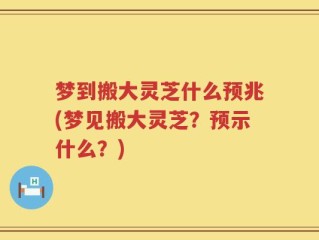 梦到搬大灵芝什么预兆(梦见搬大灵芝？预示什么？)
