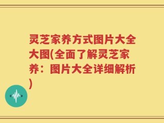 灵芝家养方式图片大全大图(全面了解灵芝家养：图片大全详细解析)