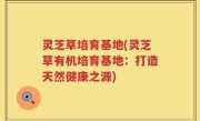 灵芝草培育基地(灵芝草有机培育基地：打造天然健康之源)