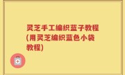 灵芝手工编织蓝子教程(用灵芝编织蓝色小袋教程)
