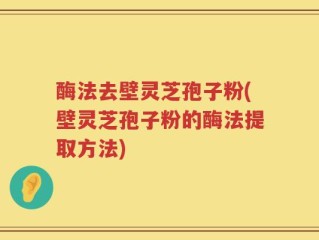 酶法去壁灵芝孢子粉(壁灵芝孢子粉的酶法提取方法)