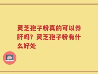 灵芝孢子粉真的可以养肝吗？灵芝孢子粉有什么好处