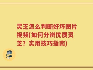 灵芝怎么判断好坏图片视频(如何分辨优质灵芝？实用技巧指南)