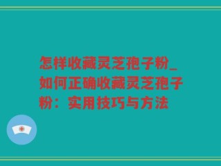 怎样收藏灵芝孢子粉_如何正确收藏灵芝孢子粉：实用技巧与方法