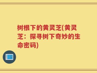 树根下的黄灵芝(黄灵芝：探寻树下奇妙的生命密码)