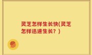 灵芝怎样生长快(灵芝怎样迅速生长？)