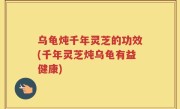 乌龟炖千年灵芝的功效(千年灵芝炖乌龟有益健康)