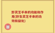 野灵芝手串的功能和作用(野生灵芝手串的功效和益处)